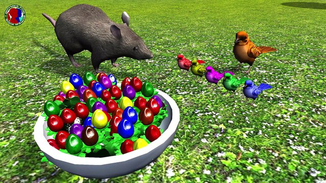 Learn Sparrows Colors Short Story For Kids ## || yellow green blue pink orange