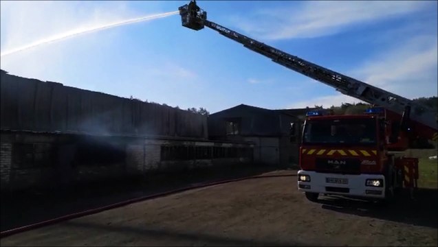 Creutzwald : incendie dans un entrepôt de palettes