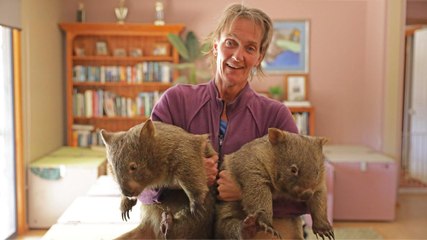The Wombat Whisperer | 101 East