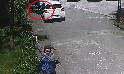 Ünlü yönetmen Alfred Hitchcock'un "Kuşlar" filmi Rize'de gerçek oldu