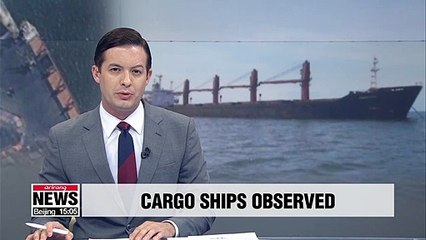 Satellite images show cargo ship activities at N. Korea's Nampo Port: Report