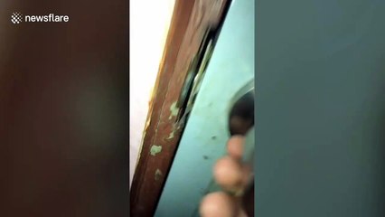 Bungling bachelor rescued by firemen after getting stuck in the bathroom