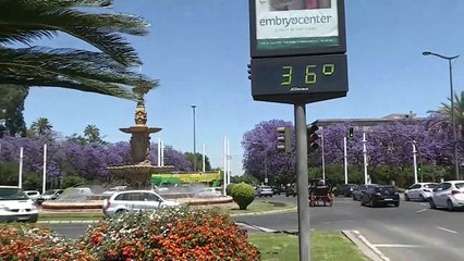 Calor estival en la primavera de Sevilla