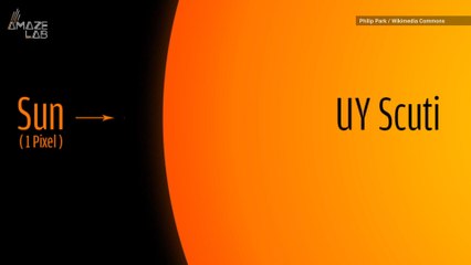 The Biggest Star in the Universe is a Monster Next to Our Sun