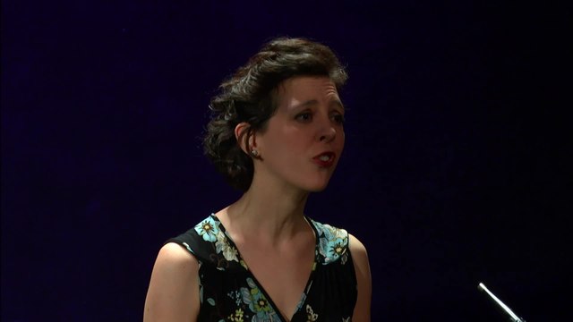 Camille Saint-Saëns : Les Violons dans le soir