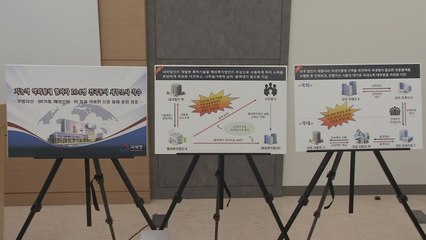 신종 역외탈세 혐의자 104명 세무조사 착수 / YTN