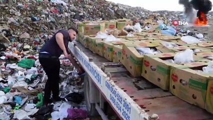 Silopi’de 994 kilogram kaçak muz imha edildi