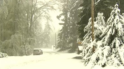 Extrém Hideg Európában: Szeles, Esős és Havas Időjárás Hétvégéig ❄️