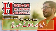 Moula Mehdi Ajayiye | Lyrics Manqabat | Mir Hasan Mir | Whatsapp Status | Hussaini Azadari Channel