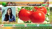 Watermelon की ये किस्म उगाकर मालामाल किसान - Kisan Bulletin 16 May 2019 | Green TV