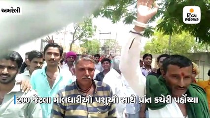 માલધારીઓએ લાઠી પ્રાંત કચેરીના ઘેરાવ સાથે તાળાબંધી કરી