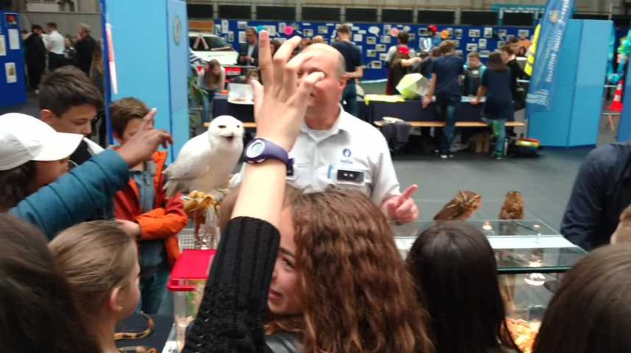 Quaregnon.Les enfants des écoles au parrainage de lla Zip Boraine.Video Eric Ghislain la  Zip Borains.Video Eric Ghislai