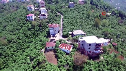 Karadeniz’de denizle karayı bir araya getiren sis tabakası havadan görüntülendi