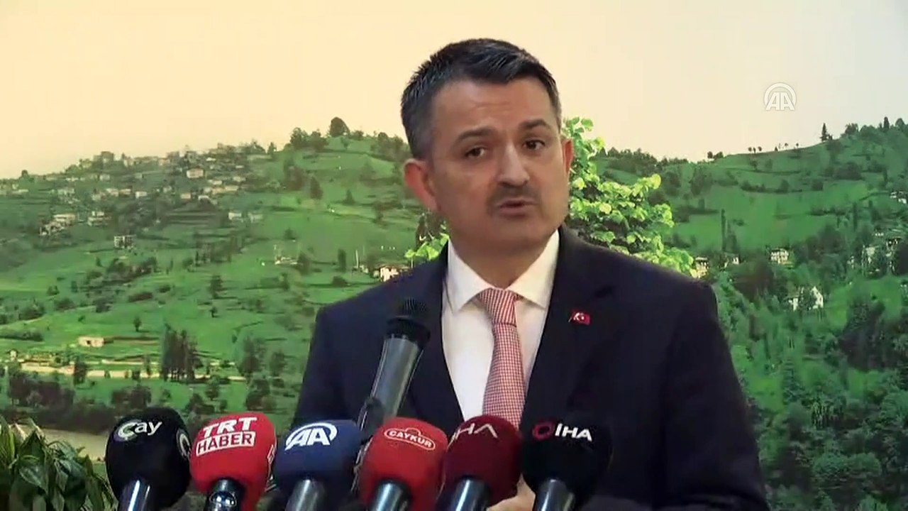 Bakan Pakdemirli, 2019 yılı yaş çay alım fiyatlarını açıkladı - ANKARA