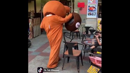 Funny Brown Bear Musically TikTok Compilation 2019 -03