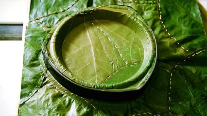 These Plates Are Made Entirely From Leaves