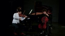 Mendelssohn : Trio en ré mineur op.49 - 1er mouvement