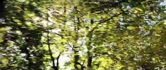 Bande-annonce du film LES PLUS BELLES ANNÉES D'UNE VIE
