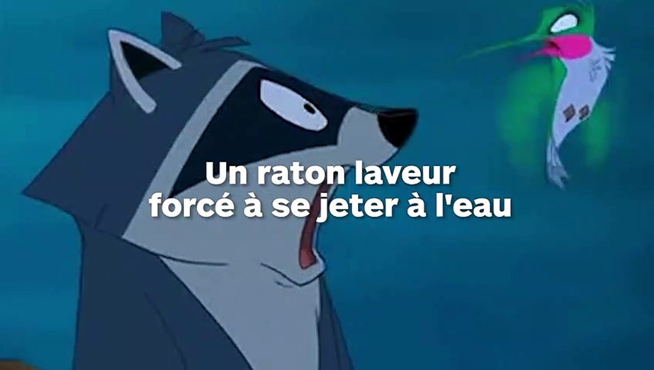 Un avocat américain force un raton laveur à sauter par-dessus bord de son bateau, à 32 km du rivage !