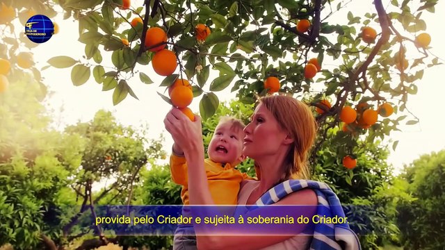 Palavra de Deus O Próprio Deus, o Único III A autoridade de Deus (II) Parte dois