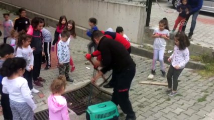 Mazgala düşen güvercin kurtarıldı - ZONGULDAK