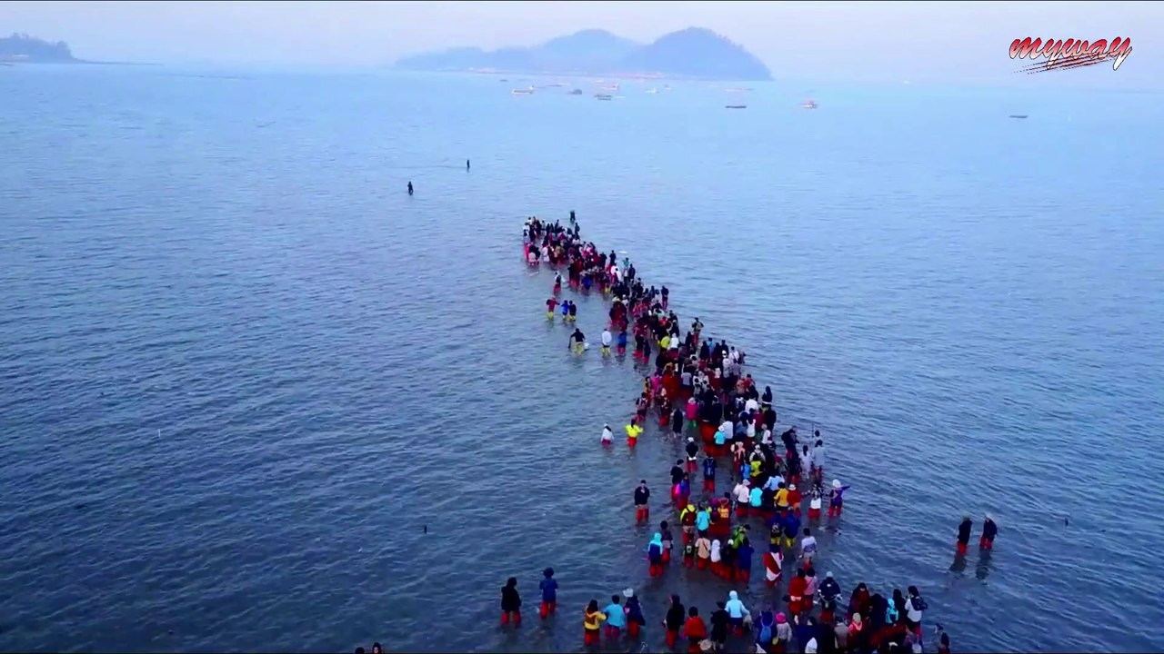 সমুদ্রের মাঝখান দিয়ে কিভাবে তৈরি হয় এই অলৌকিক রাস্তা || Jindo's Mysterious Sea Route || Bengali
