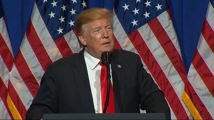 USA und Kanada schaffen Stahl- und Aluminiumzölle ab