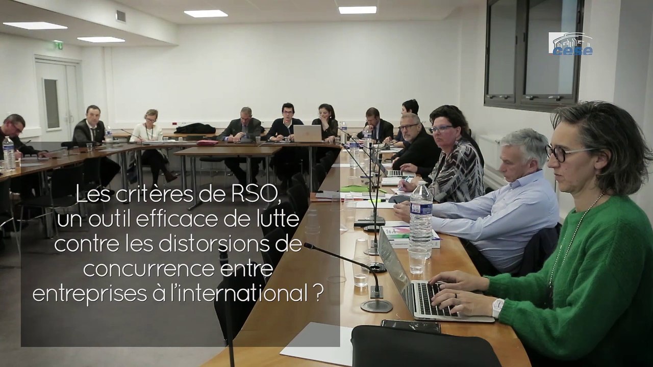 Questions à Rita FAHD (FNE) - RSO - cese