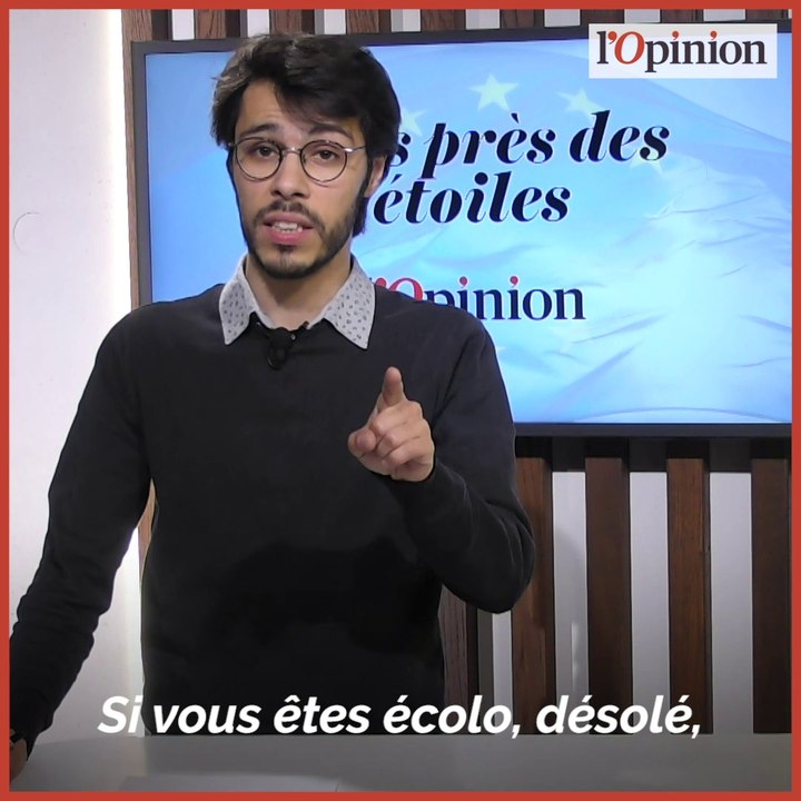 Le rêve franco-allemand des Verts européens