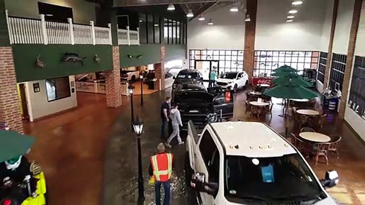 Why Buy From Gator Ford | Ford Dealership Tampa FL