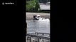 Canada man nearly ran over by his own truck as it plunges into river