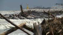3.000 toneladas de madera en las playas de Rimini