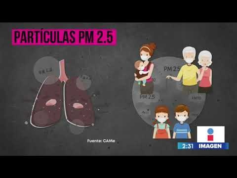 ¿Qué son las partículas PM2,5 y cómo afectan a nuestra salud? | Noticias con Yuriria Sierra
