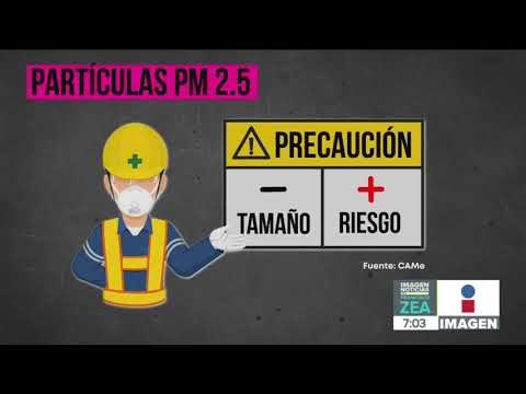 ¿Qué son las partículas PM2.5 que amenazan el aire de la CDMX? | Noticias con Francisco Zea