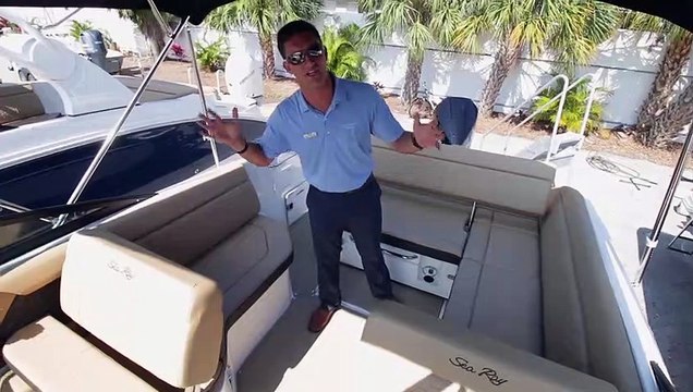 2019 Sea Ray 250 SDX Outboard at MarineMax St. Petersburg, Florida