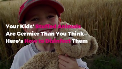 Your Kids’ Stuffed Animals Are Germier Than You Think—Here’s How to Disinfect Them