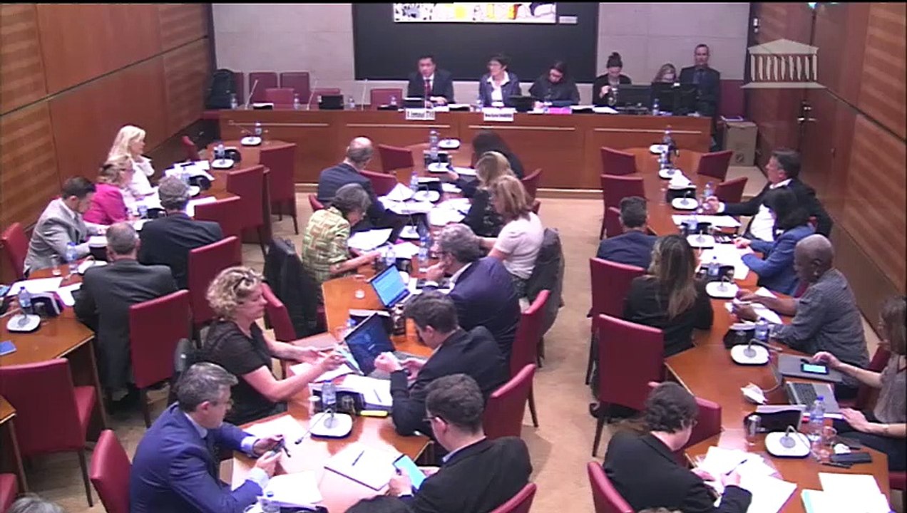 Commission des affaires culturelles : M. Emmanuel Ethis, vice-président du Haut Conseil de l’Éducation Artistique et Culturelle - Mercredi 15 mai 2019