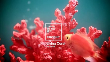 Pantone Color Of The Year 2019 – Living Coral