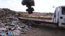 Silopi'de 994 Kilogram Kaçak Muz İmha Edildi