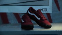 Vans Elijah Berle Pro Wear Test