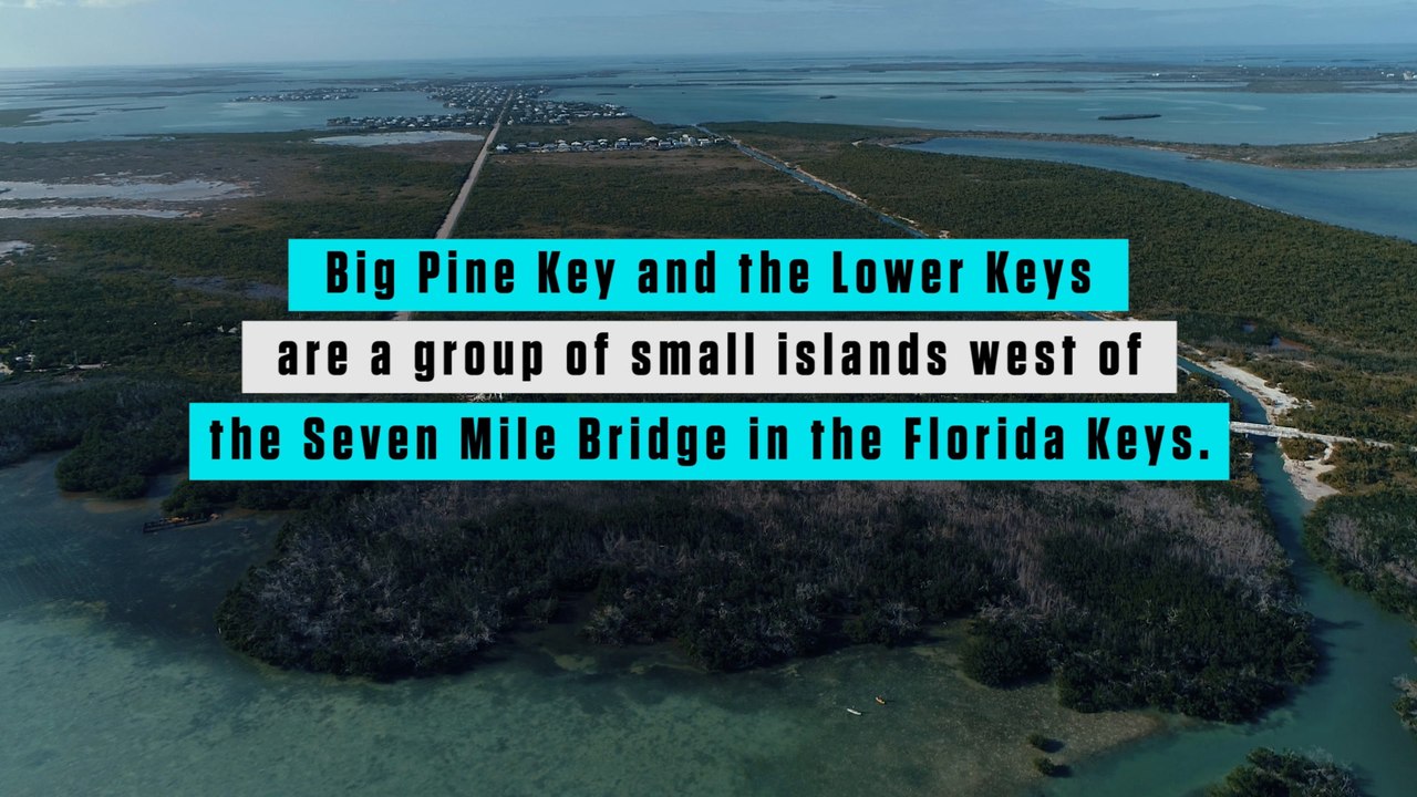 How to have the best paddle weekend ever in Big Pine Key, Florida