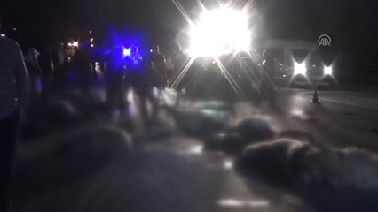 Otomobil Koyun Sürüsüne Çarptı