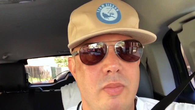 Incredible Shark Diving Experience