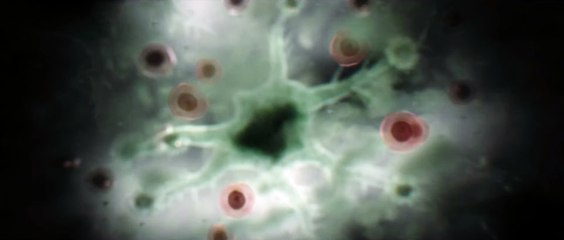 Swamp Thing - Alec- Trailer