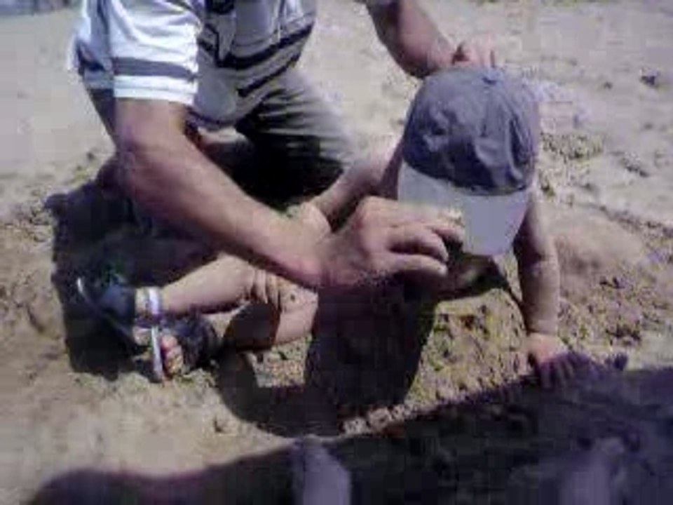 Sifou