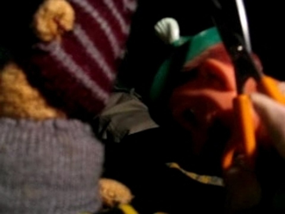 teddy le chasseur