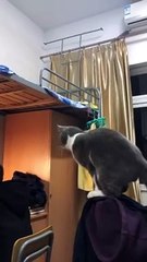 Avoid Costly Mistakes: How to Make Smarter Decisions 🤔