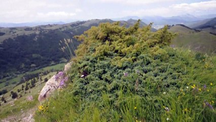 SAB.23-6-18: DA PONTE DELLA LAMA (1290 METRI) AL MONTE S FRANCO (2132 METRI) SUL GRAN SASSO.