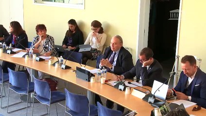 Commission des affaires européennes : Cadre financier pluriannuel ; Réunion en format Triangle de Weimar - Jeudi 16 mai 2019