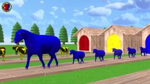 Learn Colors With Animals For Childrens ## || bull cow sheep dog cat rabbit